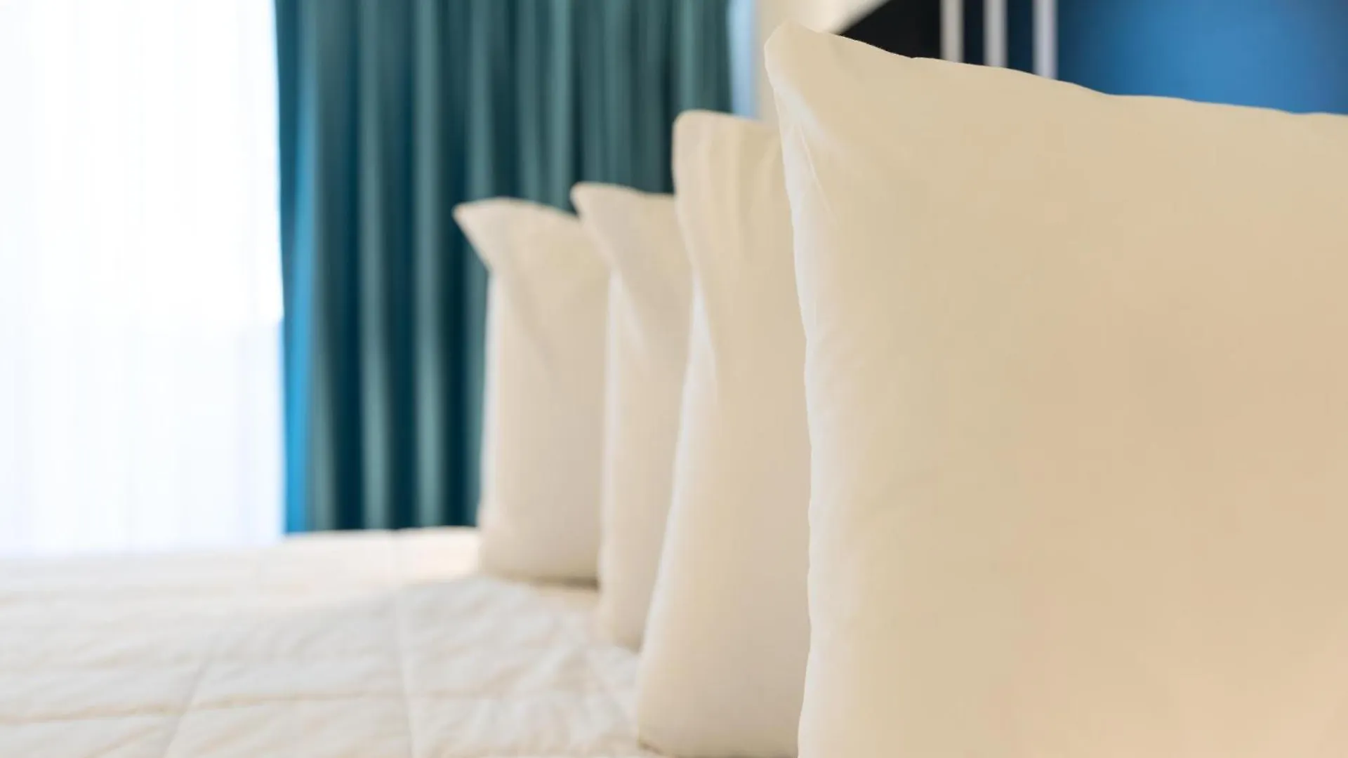 Oasis Bay Suites, Tampa, Busch Gardens, Usf