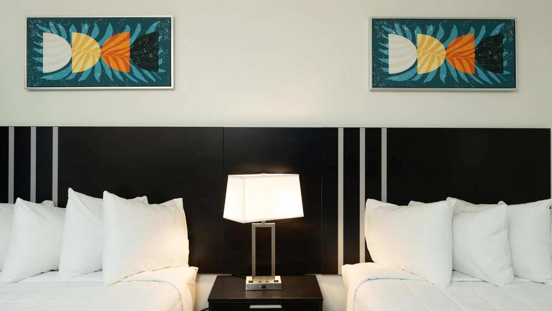 Oasis Bay Suites, Tampa, Busch Gardens, Usf