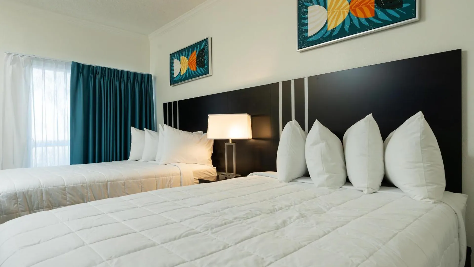 Hotel Oasis Bay Suites, Tampa, Busch Gardens, Usf