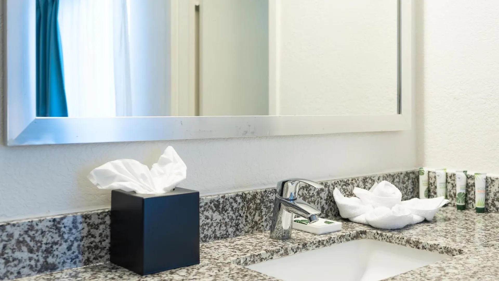 Oasis Bay Suites, Tampa, Busch Gardens, Usf Hotel