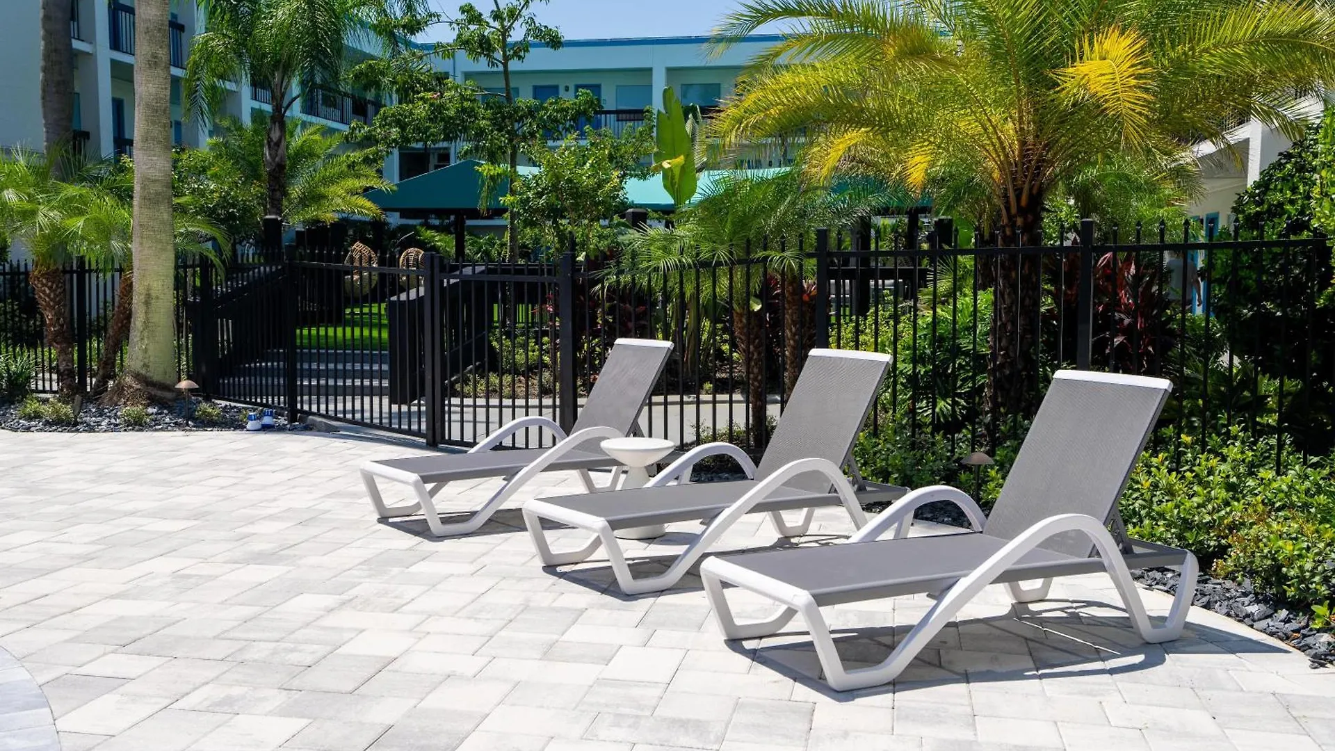 Hotel Oasis Bay Suites, Tampa, Busch Gardens, Usf
