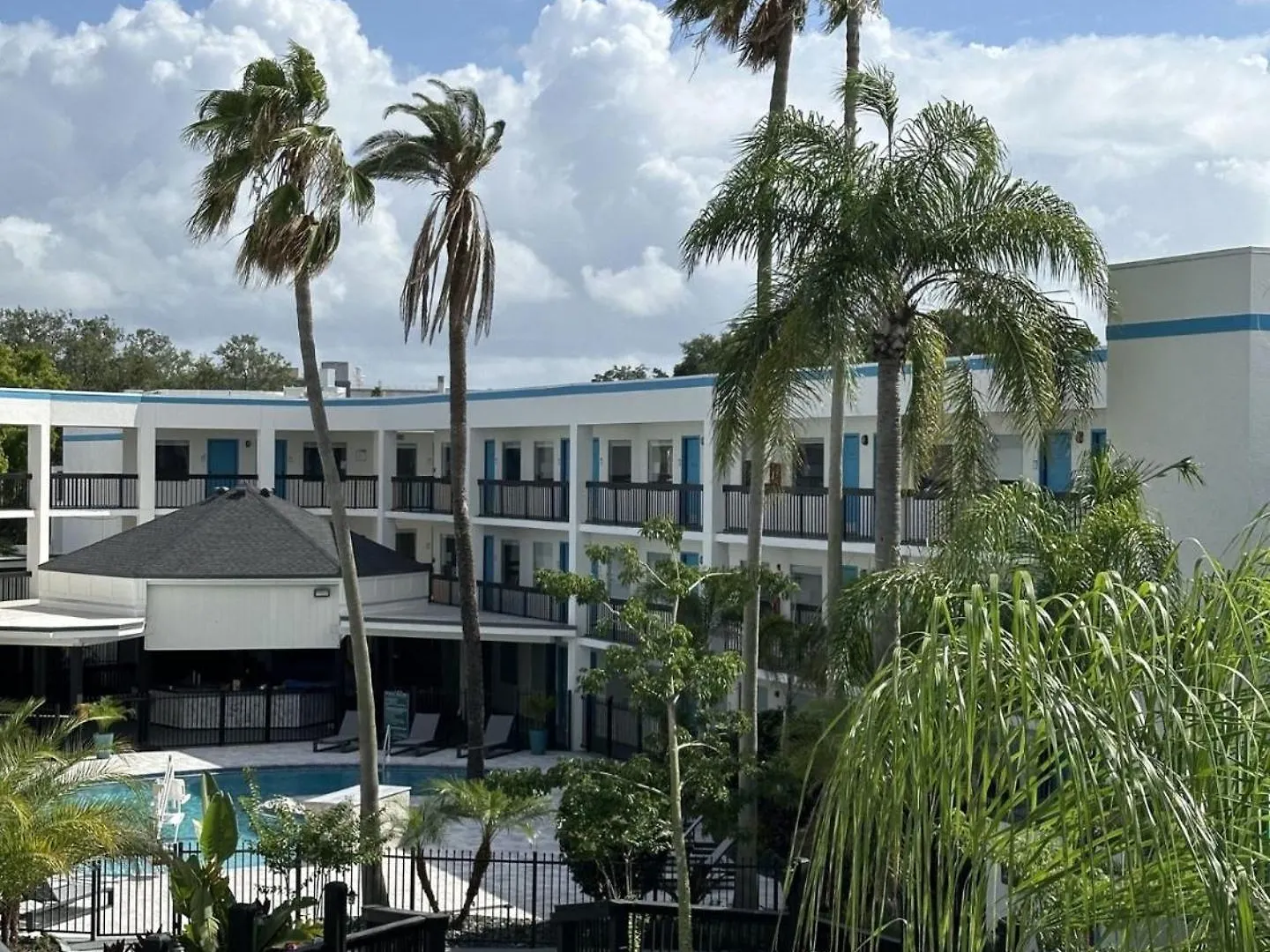 Oasis Bay Suites, Tampa, Busch Gardens, Usf Hotel Tampa