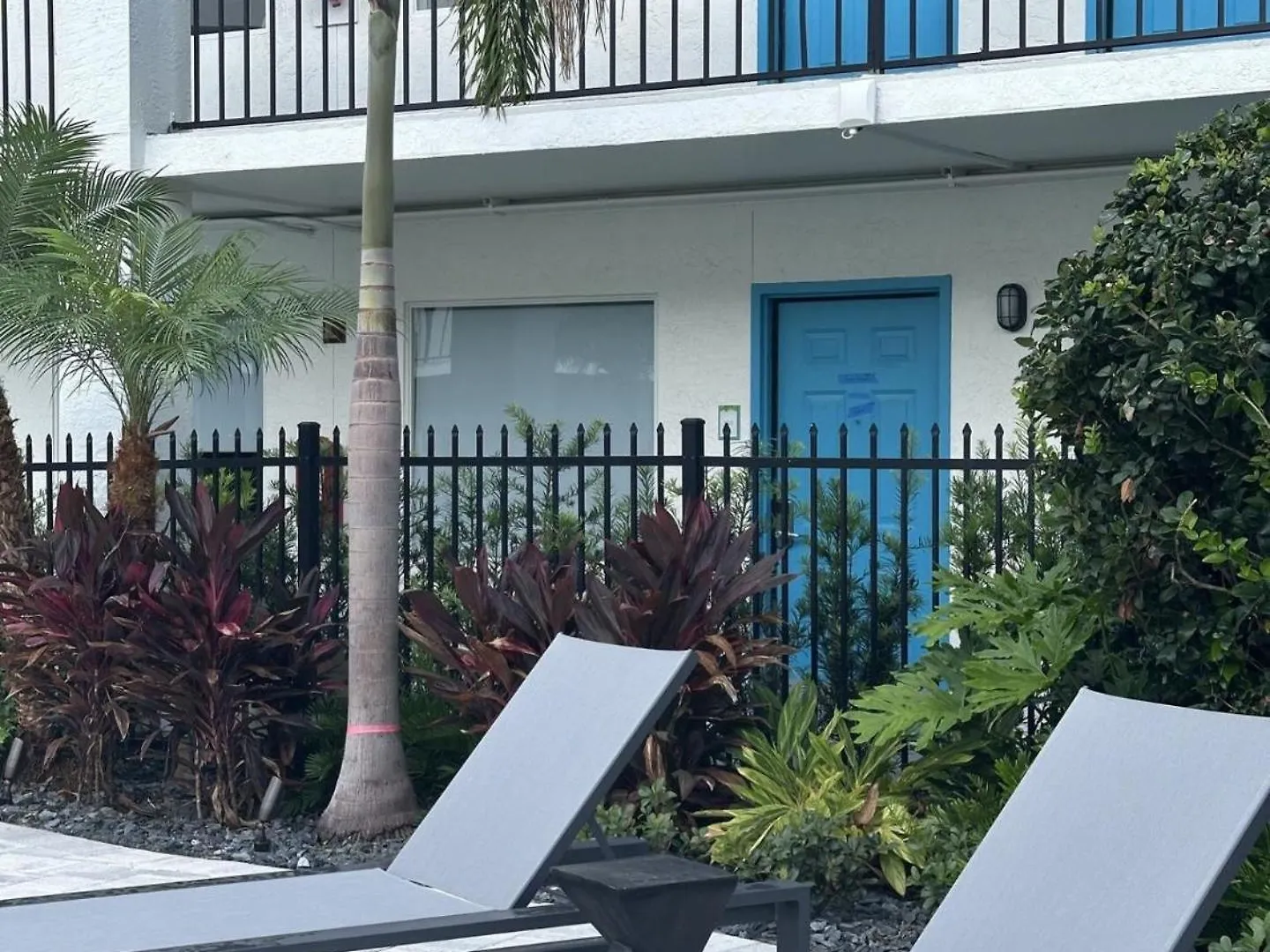 **** Hotel Oasis Bay Suites, Tampa, Busch Gardens, Usf United States