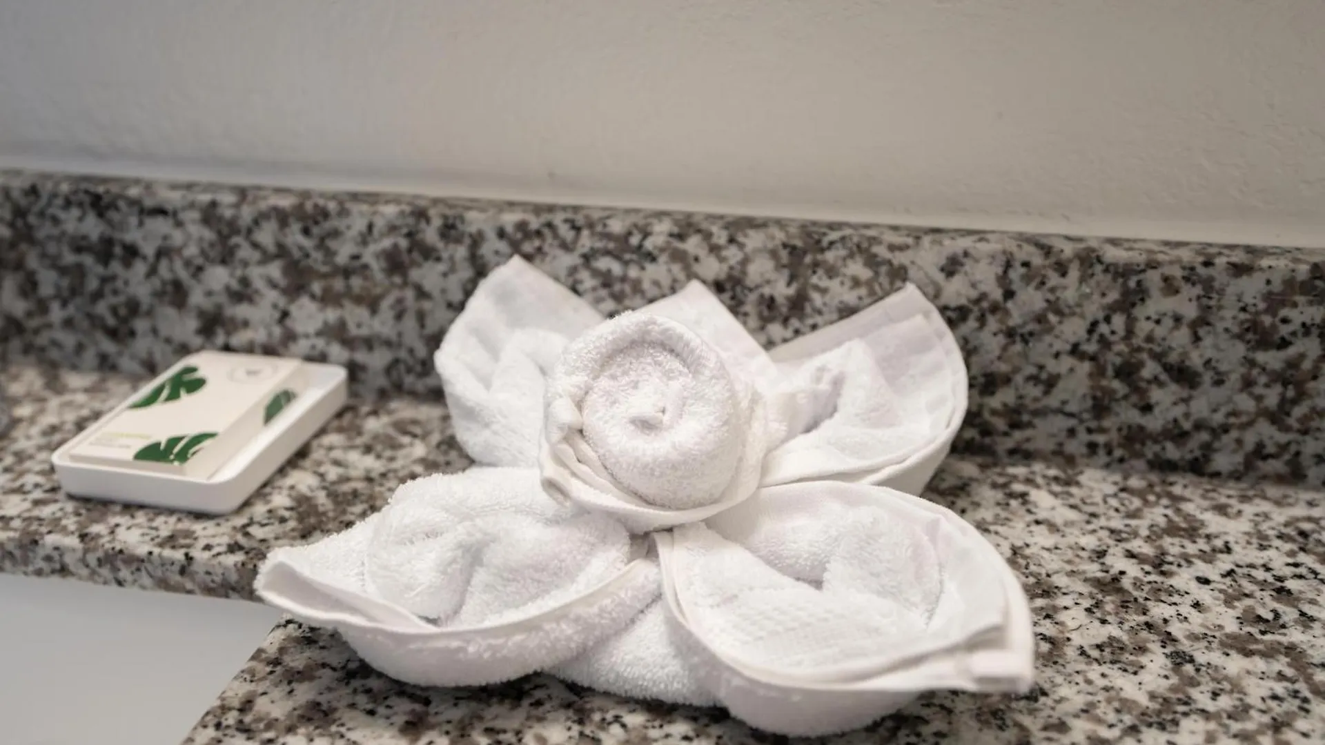Oasis Bay Suites, Tampa, Busch Gardens, Usf