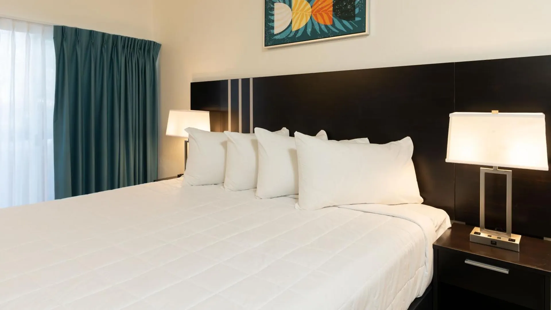 Oasis Bay Suites, Tampa, Busch Gardens, Usf ホテル