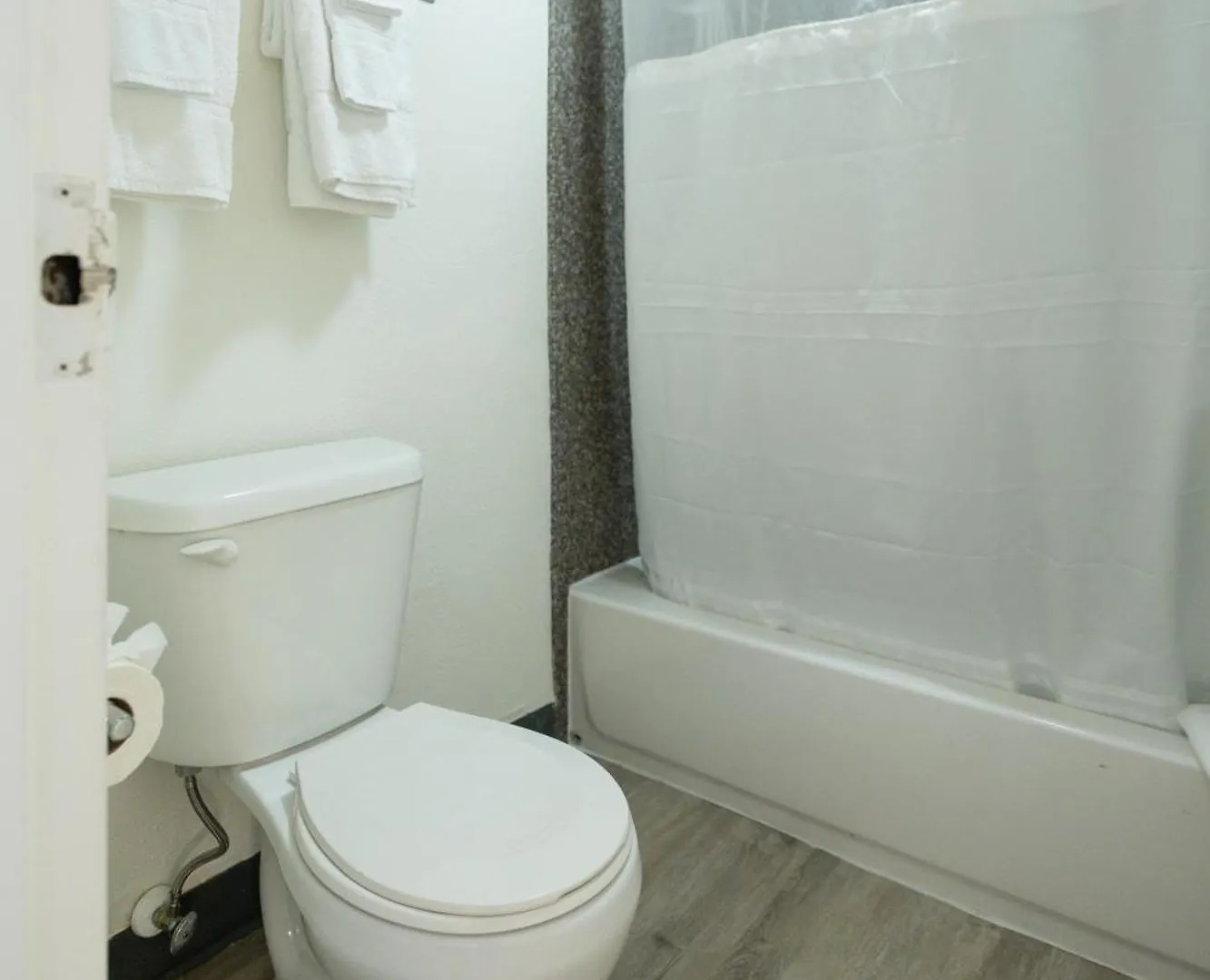 Oasis Bay Suites, Tampa, Busch Gardens, Usf 米国