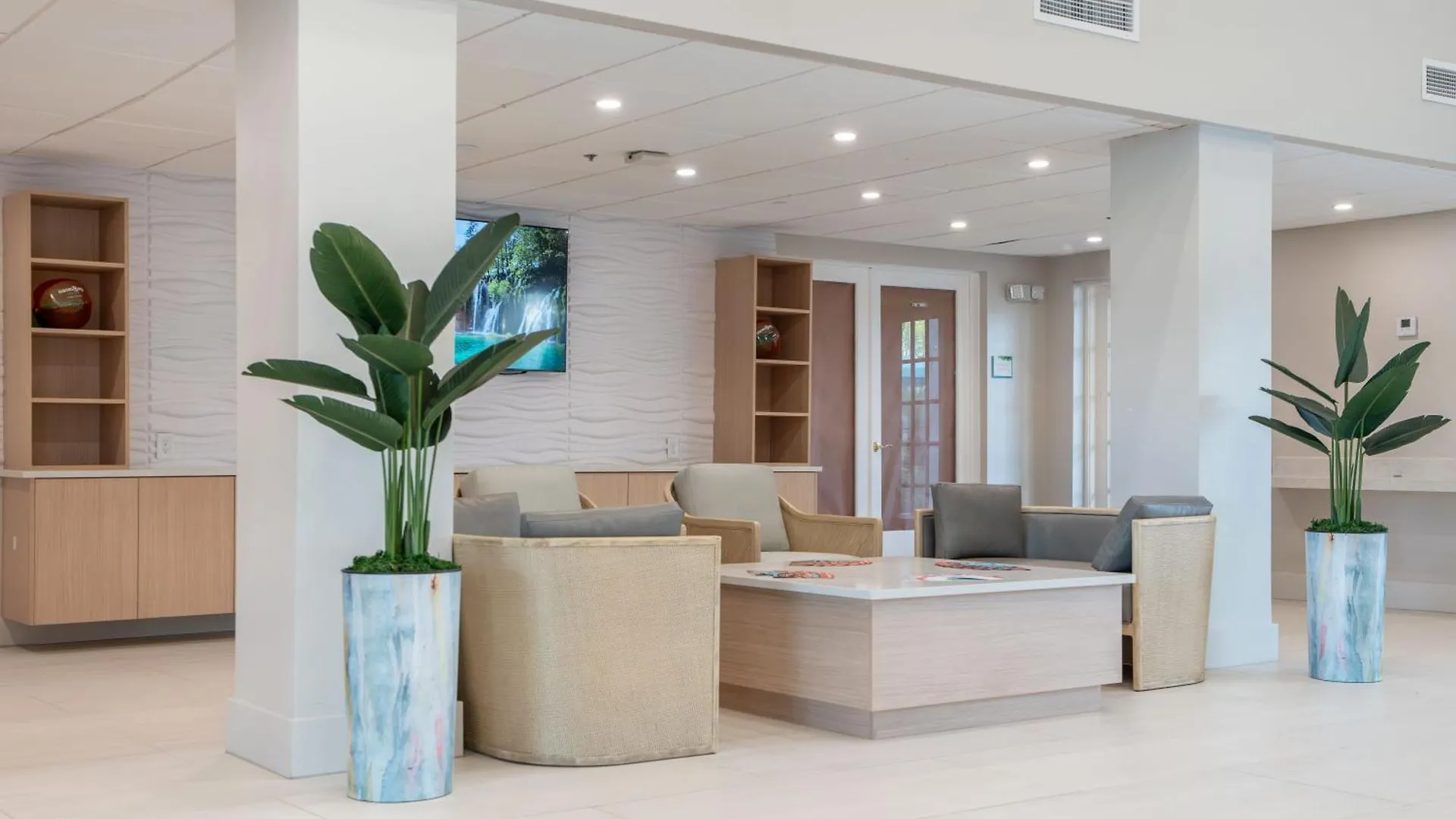 ホテル Oasis Bay Suites, Tampa, Busch Gardens, Usf